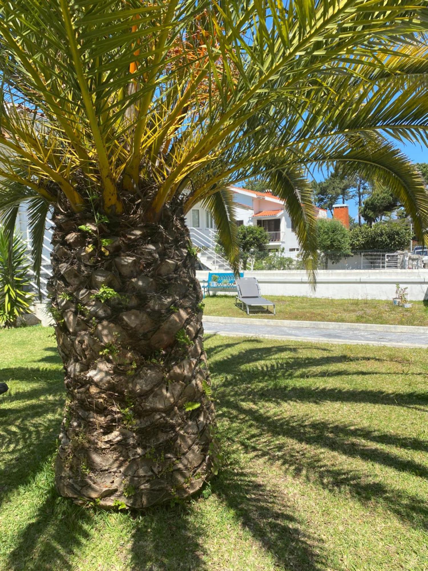 Apartamento Itaca Experience Viana do Castelo Exterior foto